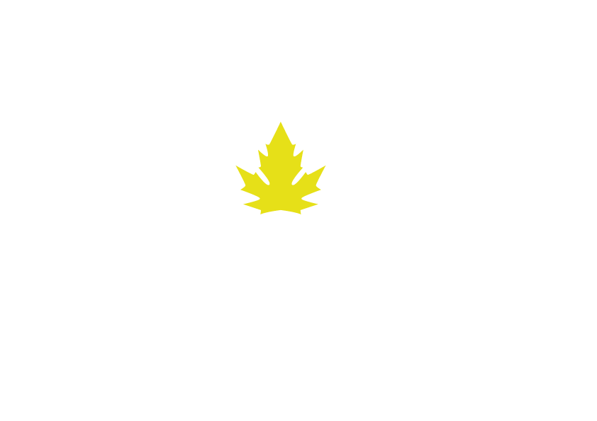 ÇINAR 3D STUDIO